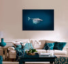 Ocean Animal Canvas Print