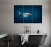 Ocean Animal Canvas Print