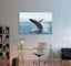 Grey Whale Canvas Print