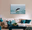 A Humpback Whale Breaches Canvas Print