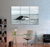 Whale's Big Tail Canvas Print