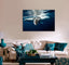 White & Black Whale in Water Canvas Print