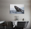 Gray Whale Canvas Print