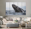 Gray Whale Canvas Print