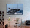 Beautiful Whale Canvas Print