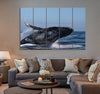 Beautiful Whale Canvas Print