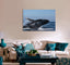 Beautiful Whale Canvas Print