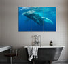 Whale in the Water Canvas Print