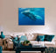 Whale in the Water Canvas Print