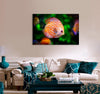 Brown & Orange Fish Canvas Print