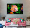 Brown & Orange Fish Canvas Print