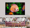 Brown & Orange Fish Canvas Print