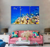 Amazing Fishes Canvas Print