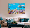 Amazing Underwater Life Canvas Print