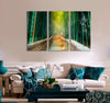 Forest in Kyoto Canvas Print