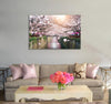 Cherry Blossom Canvas Print