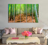 Kyoto Forest Canvas Print