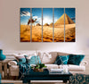 Сamel near Pyramids Canvas Print