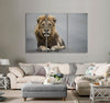 Lion Canvas Print