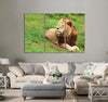 Furry Lion Canvas Print