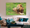 Furry Lion Canvas Print