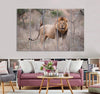 Male Lion Canvas Print