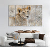 Baby Lion Canvas Print