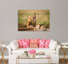 Big Lion Laying on The Ground Canvas Print