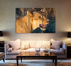 Female Lion Canvas Print