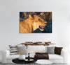 Female Lion Canvas Print