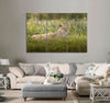 Magnificent Lioness Canvas Print