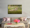 Magnificent Lioness Canvas Print