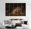 Laying Lion Canvas Print