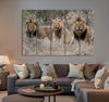 Male Lions Canvas Print