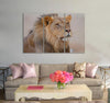 Magnificent Lion Canvas Print