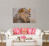 Magnificent Lion Canvas Print