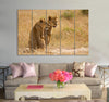 Lionesses Sitting on a Field Canvas Print