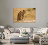 Lionesses Sitting on a Field Canvas Print