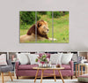 Calm Lion Canvas Print