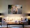 Ferocious Lion Canvas Print