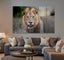 Ferocious Lion Canvas Print