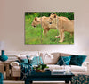 Magnificent Lionesses Canvas Print