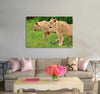 Magnificent Lionesses Canvas Print