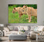 Magnificent Lionesses Canvas Print