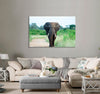 Elephant Canvas Print