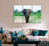 Elephant Canvas Print