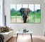 Elephant Canvas Print