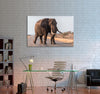 Walking Elephant Canvas Print