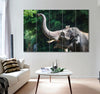 Elephant with Raised Trunk Canvas Print