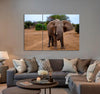 Cute Elephant Canvas Print